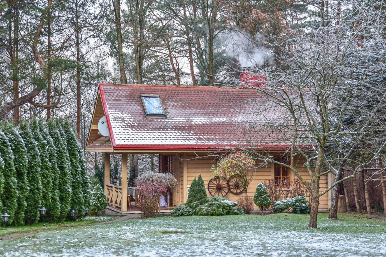 Medaus Pirtele Villa Тракай Екстериор снимка